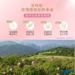 大馬士革玫瑰精華 - Image 4