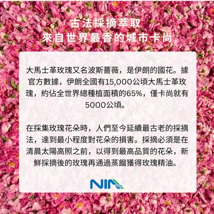 大馬士革玫瑰精華 - Image 5