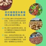 開心果_原味輕烘焙 300g - Image 5