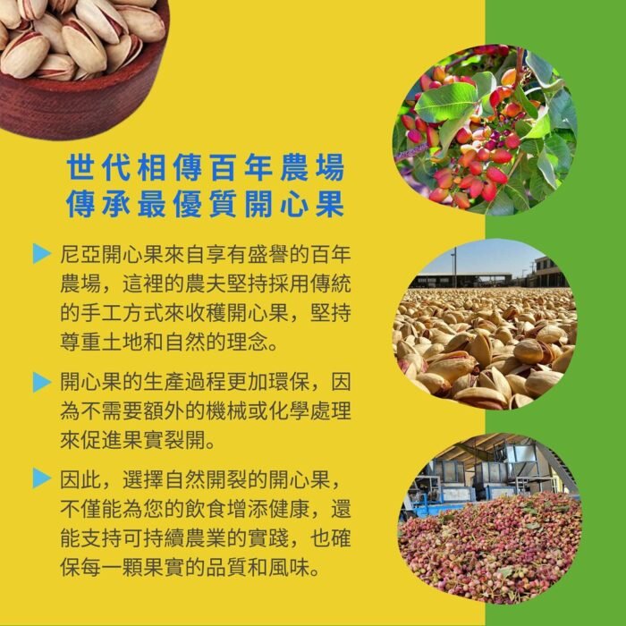 開心果_薄鹽口味 300g - Image 5