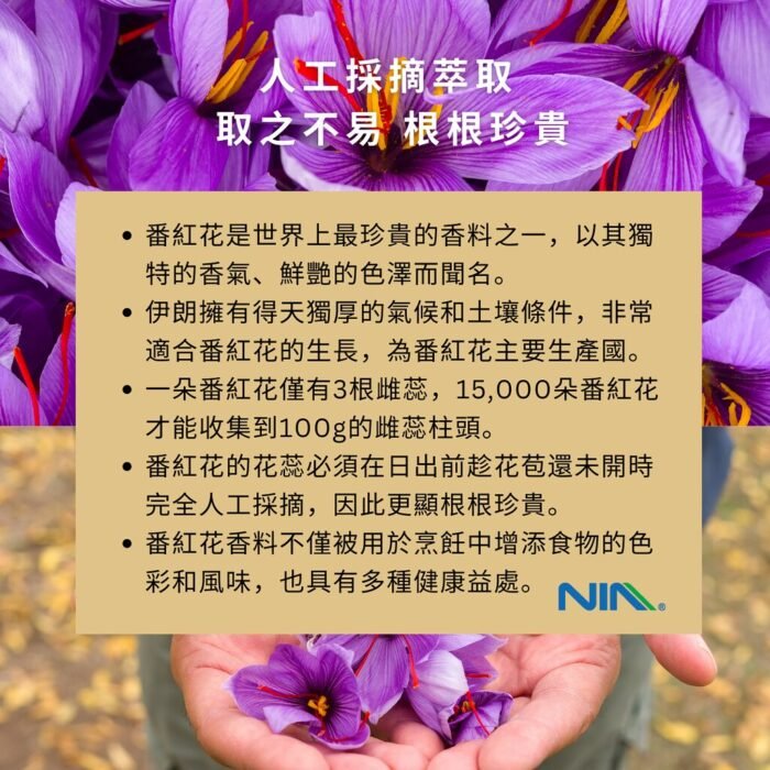 尼亞頂級伊朗番紅花/藏紅花 - Image 5