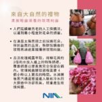 雙重蒸餾玫瑰純露 300ml - Image 4